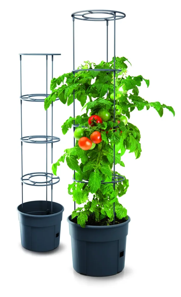 Anzuchttopf für Tomaten "Grow 1", Ø 295 mm, anthrazit