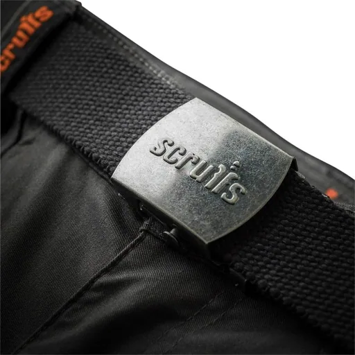 Pro Flex Plus Arbeitshose, grau 36R
