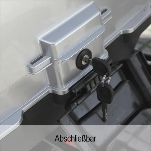 Gepäckbox-Set zu 3-Rad E-Roller Napoli 45 km/h
