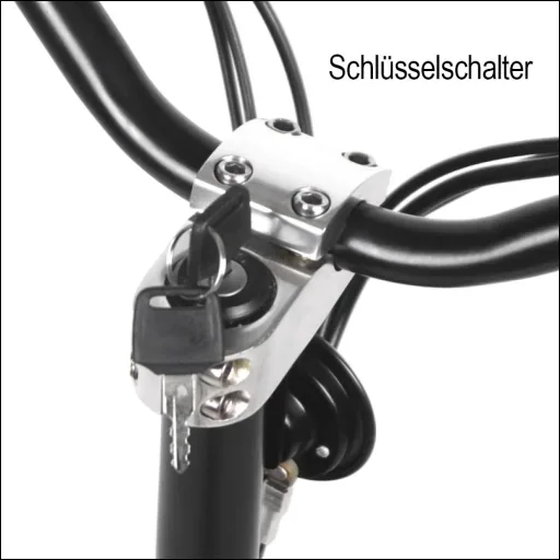E-Roller "Revoluzzer" Safety 20 km/h inklusive Blinkanlage und Gepäck-Case schwarz