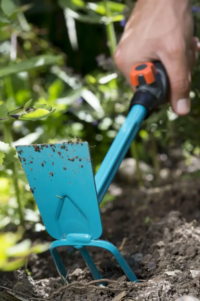 Combisystem-Kleinhäckchen, gerades Blatt, 3 Zinken