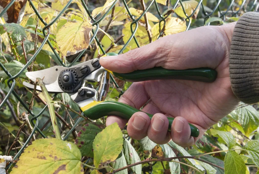 Einhand-Gartenschere, Compact
