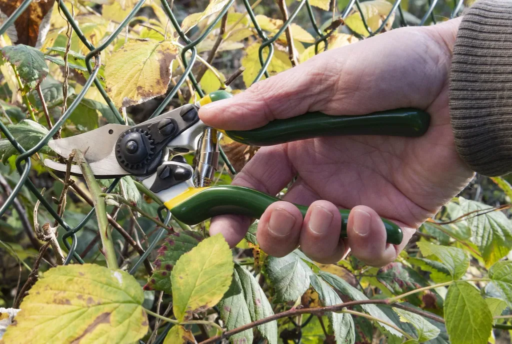 Einhand-Gartenschere, Compact