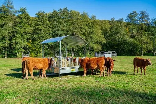 Compact Viereckraufe mit Palisadenfressgitter und Trog