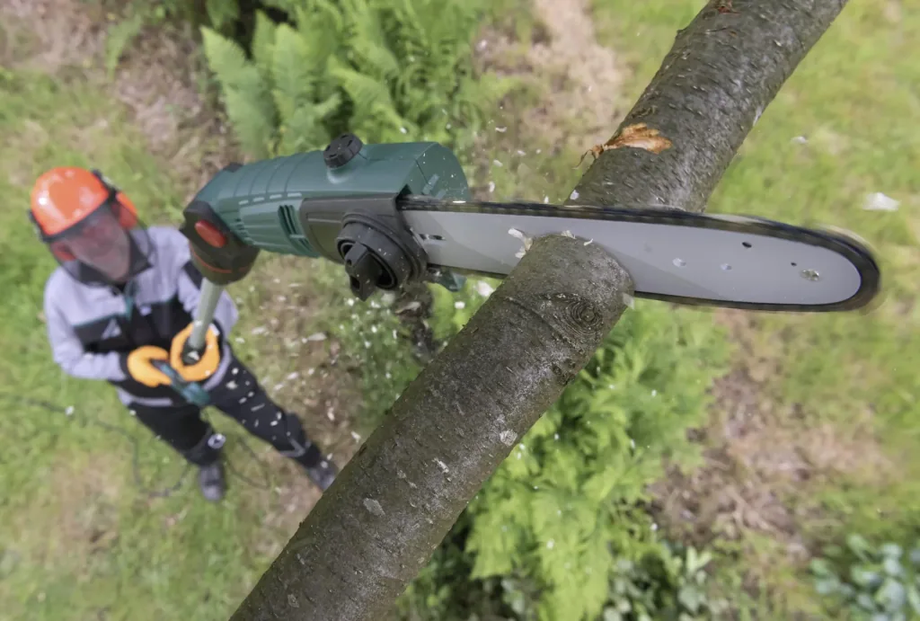 3D Baum- und Heckenpflege Set mit Teleskop - Multihandgriff
