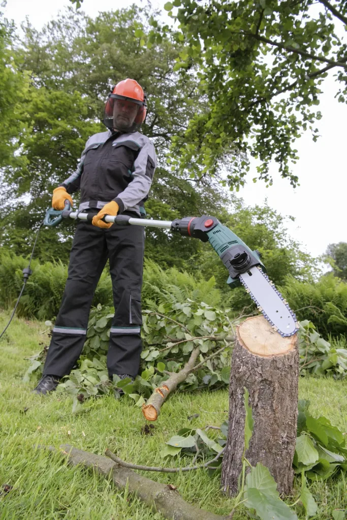 3D Baum- und Heckenpflege Set mit Teleskop - Multihandgriff