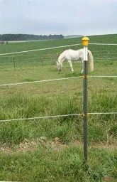 Metallpfahl T-Post, 182 cm, 80 Stück