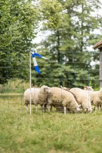 Herdenschutzband blau-weiß, 100m