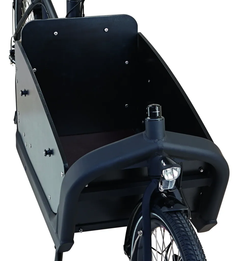 Unisex Lasten-E-Bike 20/26 Zoll, Rahmenhöhe 48 cm, 8-Gang Kettenschaltung, schwarz, CARGO 20.ETL.20