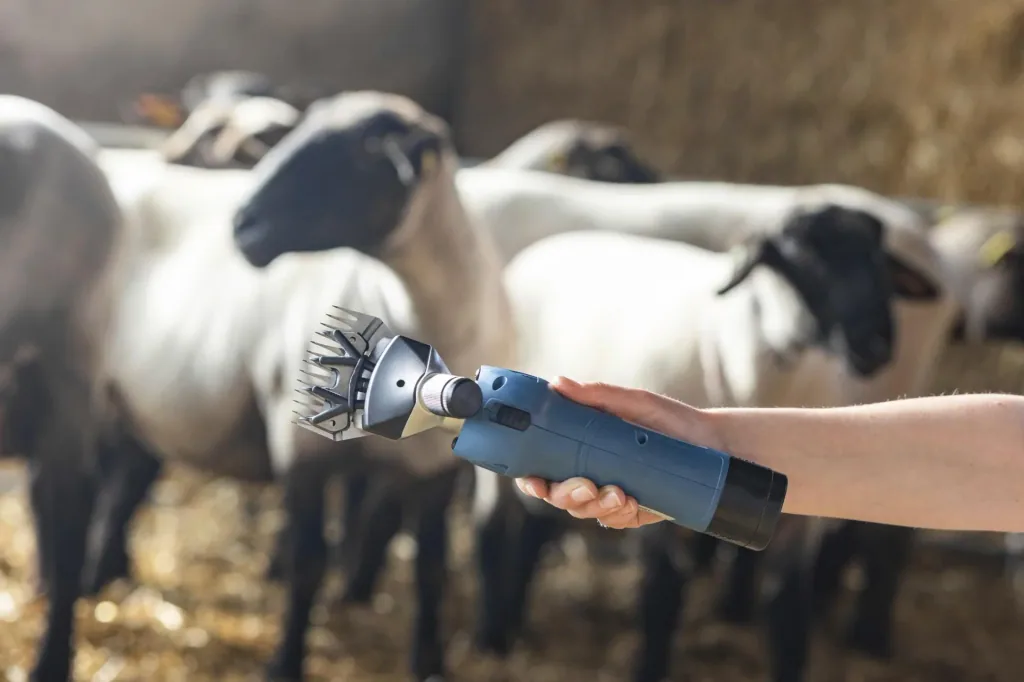 FarmClipper Akku2 für Schafe