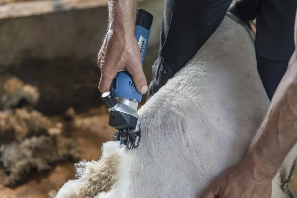 FarmClipper Akku2 für Schafe