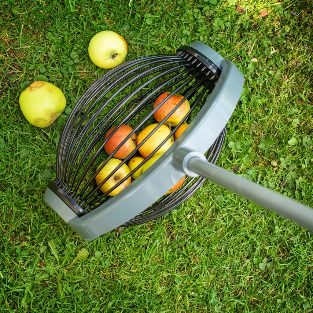 Rollsammler / Obstsammler, groß mit Alu Teleskopgriff