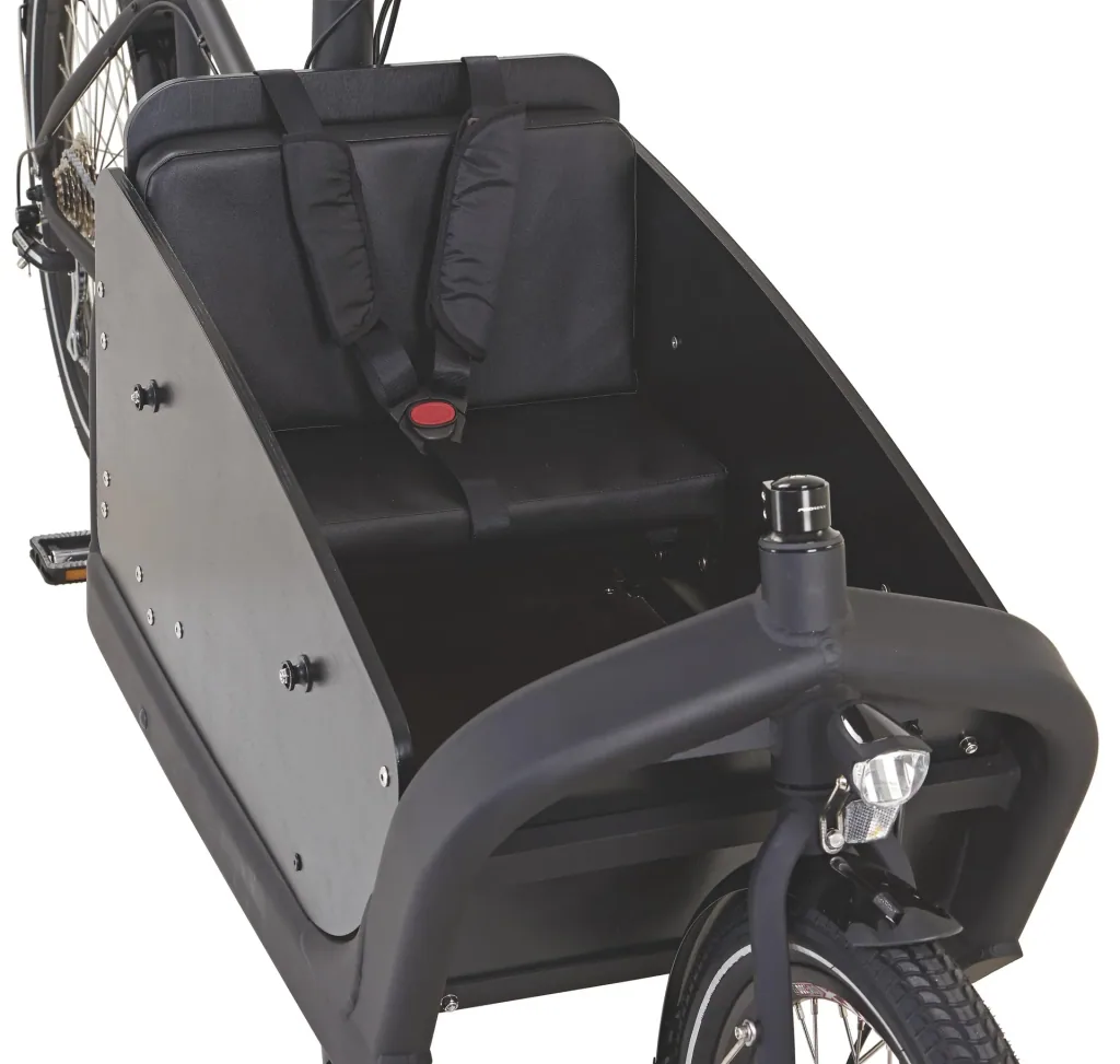 Unisex E-Bike 20"/26 Zoll, Rahmenhöhe 48 cm, 8-Gang Kettenschaltung, schwarz matt, CARGO Plus 22.ETL.10