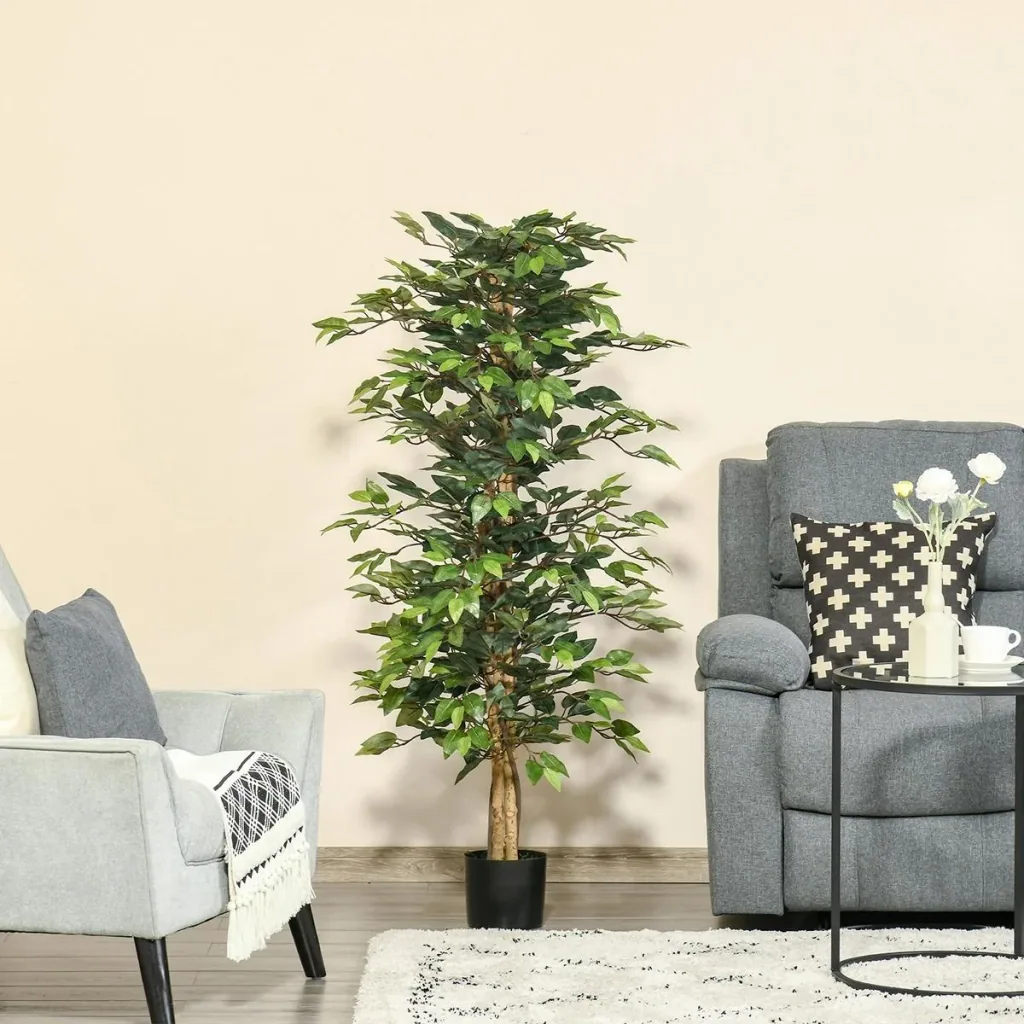 Kirschlorbeer 'Caucasica' 10er-Set (Prunus laurocerasus) – winterharter immergrüner Strauch, für 5 m Hecke, im 7-L-Container, Höhe ca. 60–80 cm