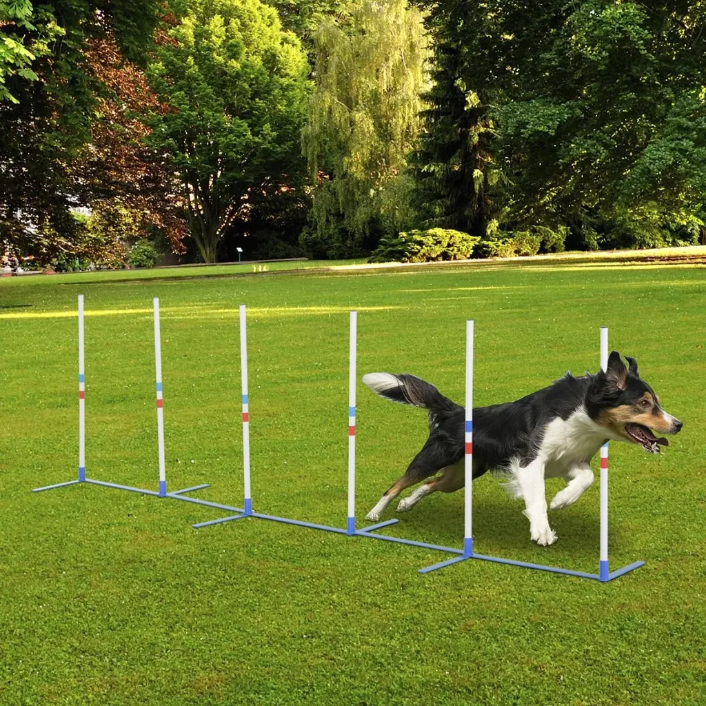 Hunde Slalomstangen Agility Training für Haustiere Hundetrainigsset Inklusive 600D Tasche Leicht zu tragen Polyester Kun