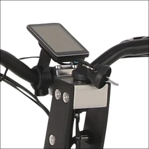 E-Roller "Evoking" Basic 20 km/h schwarz
