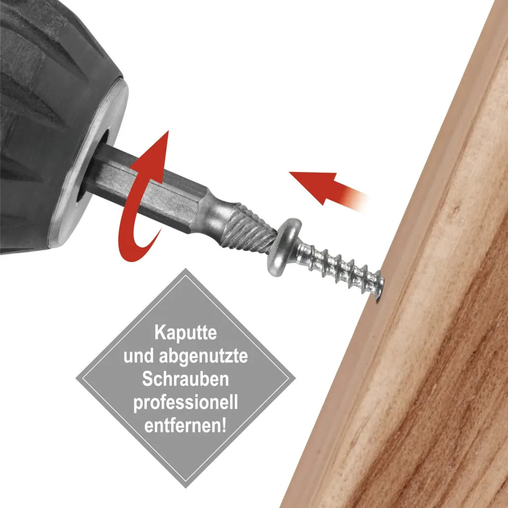 Schraubenentferner-Set 4-teilig