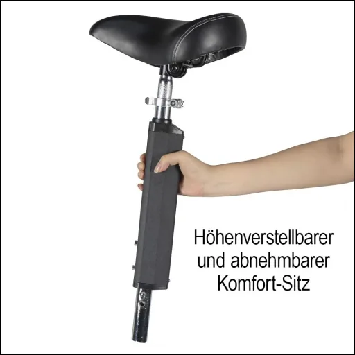 E-Roller "Camper" Safety 20 km/h inklusive Einkaufskorb, Blinkanlage und Gepäck-Case schwarz