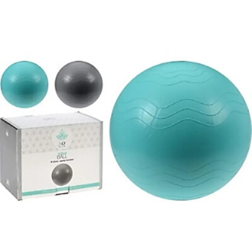 Fitness Yogaset 4 in 1 - Hanteln - Yogabal - Yogamat -