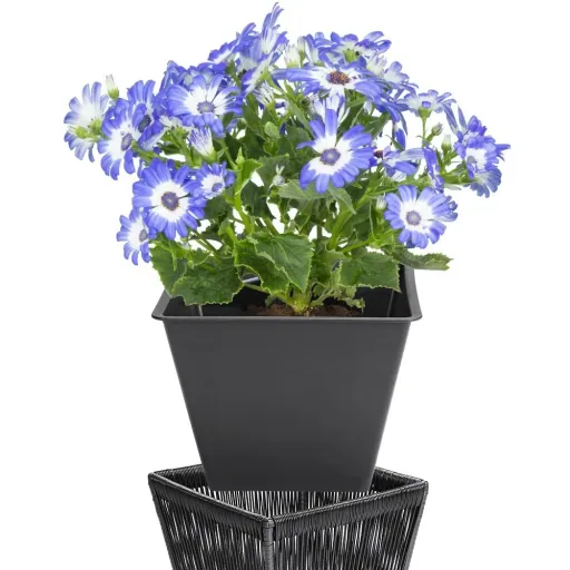 Blumenkasten Acapulco 2er-Set schwarz 36x36x40cm