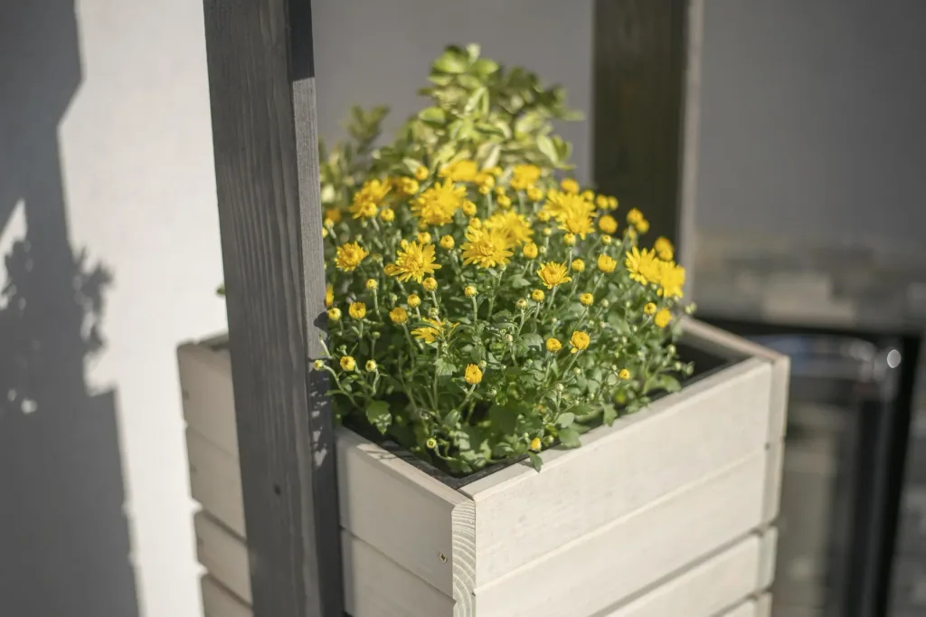 Pflanzkübel Maja