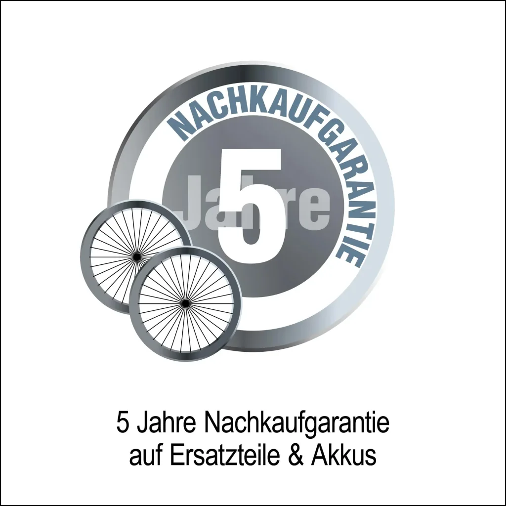 Elektro-Faltroller Speedster Safety Plus 45 km/h 1000 Watt, inkl. Blinkanlage, Gepäckcase und Lithium-Ionen Akku, Schwarz.