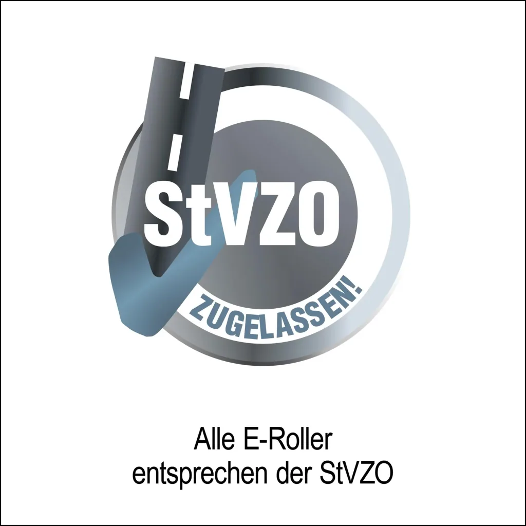 Elektro-Faltroller Speedster Safety Plus 45 km/h 1000 Watt, inkl. Blinkanlage, Gepäckcase und Lithium-Ionen Akku, Schwarz.